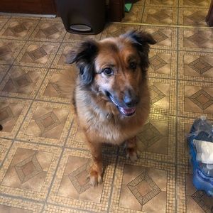 Meet your Posher, Vickie